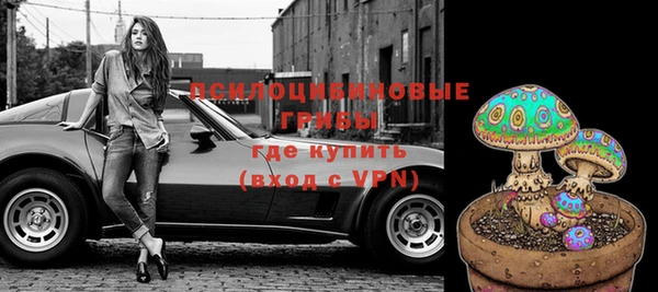 дживик Гусиноозёрск