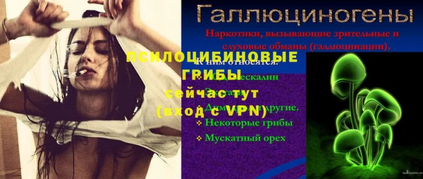 дживик Гусиноозёрск