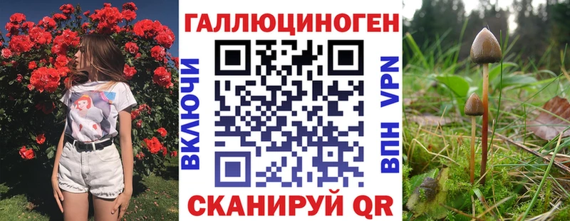 Галлюциногенные грибы Psilocybe  Купить закладки  Похвистнево 